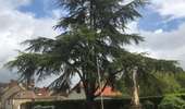 Randonnée Marche Dampierre-en-Yvelines - Aller retour dampierre  - Photo 1