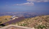 Trail On foot Castel del Monte - IT-254 - Photo 1