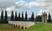 Percorso A piedi Gemeinde Leobersdorf - Karl Neuwirth Runde 