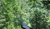Trail Walking Bouillon - la balade des points de vue n 1 - Photo 6