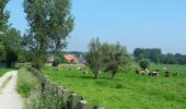 Tour Zu Fuß Waasmunster - Roosenberg Route (Blauw) - Photo 6