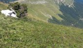 Trail Walking Châtillon-en-Diois - jocou par le mont Barral depuis le col de Menée   - Photo 7