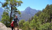 Tocht Te voet El Paso - Wikiloc - Caldera de taburiente Los Brecitos to Parking Barranco de las Angustias - Photo 17