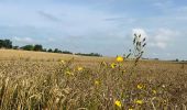 Tour Wandern Incourt - #230721 - Roux-Miroir - GR 579 - Photo 11