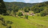 Trail Walking Sewen - Sewen - Lac d'Alfeld - Ferme auberge du Baerenbach - Photo 1