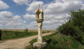 Trail On foot Gemeinde Gaubitsch - Panorama Wanderweg Gaubitsch - Photo 10