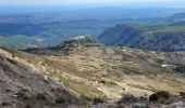 Tocht Stappen Le Bar-sur-Loup - rando - Photo 3