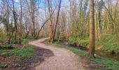 Trail Walking Bussy-Saint-Georges - Boucle Rentilly - Noisiel - Etang de la Brosse - Etang de la Loy - Photo 4