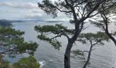 Tour Wandern Hyères - Giens boucle ouest - Photo 19