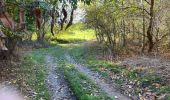 Tocht Te voet Genepiën - Bousval et nouveaux sentiers - Photo 3