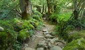 Trail Walking Aulus-les-Bains - Cascade de Fouillet Ariége - Photo 18