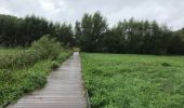 Trail Walking Ghent - Drongen Gand 25 km - Photo 4