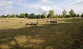 Excursión A pie Wychavon - Pershore Bridges Circular Walk - Photo 2