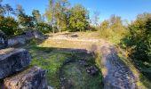 Trail Walking Saint-Jean-Saverne - circuit, St Michel, château warthenberg - Photo 6