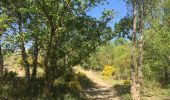 Tour Wandern Lignan-sur-Orb - Sur les rives de l'Orb - Pont de Tabarka - Pont de Cazouls - Photo 18