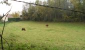 Tour Wandern Saint-Aubin-Celloville - 20211106-St Aubin Celloville - Photo 16
