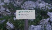 Tour Wandern Fillière - GLIERES: MONUMENT - COL DE L'OVINE - CHALET DE L'OVINE - CHALETS DES AUGES - Photo 12