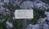 Excursión Senderismo Fillière - GLIERES: MONUMENT - COL DE L'OVINE - CHALET DE L'OVINE - CHALETS DES AUGES - Photo 12