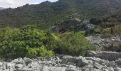 Trail Walking Saint-Jean-de-Buèges - St Jean de Buèges Pégayrole - Photo 10