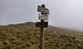Trail Walking Camurac - Les cretes de Camurac 2021 - Photo 6