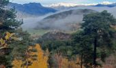 Randonnée Marche Venterol - URTIS . COL DE BUISSONET . SOM DE MONTSERIEUX . VENTEROL . O M S  - Photo 10