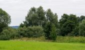 Tour Zu Fuß Steinheim - Rundwanderweg A4 bei Steinheim - Photo 6