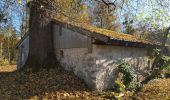 Percorso A piedi Flintsbach am Inn - Wanderweg 10 - Brannenburg - Photo 1