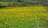 Tour Wandern Monts-de-Randon - Rando du 13/05/2024..Rieutor de Randon..Truc de Fortuneo..Lac de Charpal - Photo 5