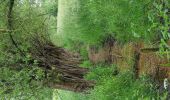 Tour Wandern Lebbeke - Wieze Vossewegelroute - Photo 10