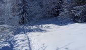 Randonnée Raquettes à neige La Pesse - L'Embossieux-La Croix des couloirs-La Pesse - Photo 2