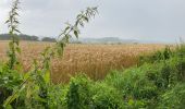 Tocht Stappen Olne - Voie des ânes  - Photo 14