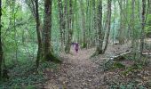 Trail Walking Unknown - Lavardin - Chemin de la roue des Carriers - Photo 14