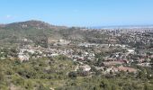 Tocht Te voet Barcelona - Del solell a l'obaga. Collserola - Photo 8