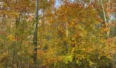 Tocht Stappen Gerpinnes - Plaisir d’automne - Photo 5