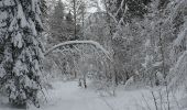 Tocht Sneeuwschoenen La Pesse - 1/2 rando raquettes Pesse-retour - Photo 1