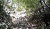 Trail Walking Bédoin - Bedoin  - Photo 9