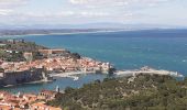 Tour Zu Fuß Collioure - Collioure 7,6 km 340 m D+ - Photo 2