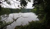 Percorso A piedi Sconosciuto - Castlewellan Forest Park - Cypress Pond Walk - Photo 9