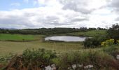 Trail On foot Westport-Belmullet Municipal District - Furnace Loop - Mayo - Photo 3