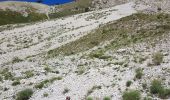 Excursión Bici de montaña La Roche-des-Arnauds - VTT33 - Mattacharre -Conode-Clappe - Photo 4