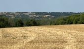 Trail Walking Argoules - Valloires  - Photo 11