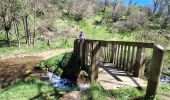 Trail Walking Chambon-sur-Lac - BOUCLE AUTOUR DE LA COUZE DE SURAINS - Photo 12