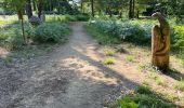 Percorso Marcia Brain-sur-Allonnes - BALADE BRUN SUR ALLONE DANS LA FORÃT  - Photo 3