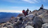 Tour Wandern La Orotava - Sommet du Teide - Photo 1