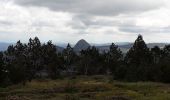 Excursión Senderismo Le Béage - suc des Chartreux partie 1 - Photo 5