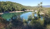 Excursión Senderismo Les Adrets-de-l'Estérel - Saint cassien - Photo 7