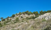 Trail Walking Toulon - Le faron..solo - Photo 3