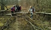 Trail Walking Fontainebleau - L'épine et la mare aux évés - Photo 5