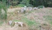 Trail Walking Ploemel - PR_56_Ploemel_AA_01_Tro-Plenuer_Circuit1b_20230806 - Photo 4