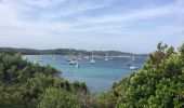 Trail Walking Hyères - Porquerolle côté Est (Pointe des Mèdes) - Photo 10